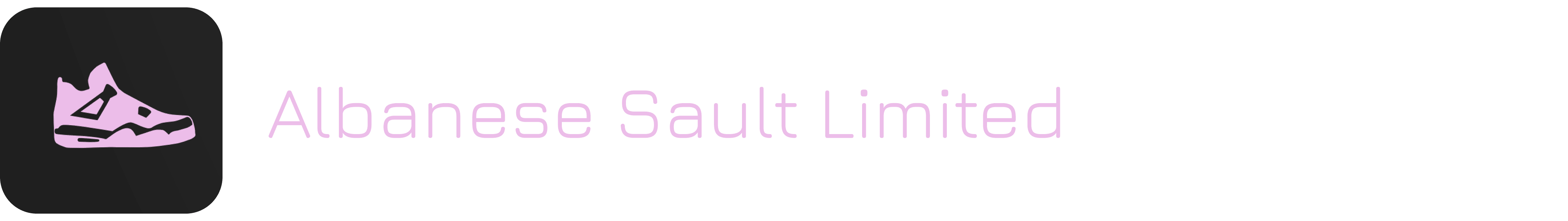 Shoe Store Logo